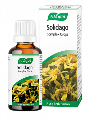 A. Vogel - Solidago complex oral drops - 50ml