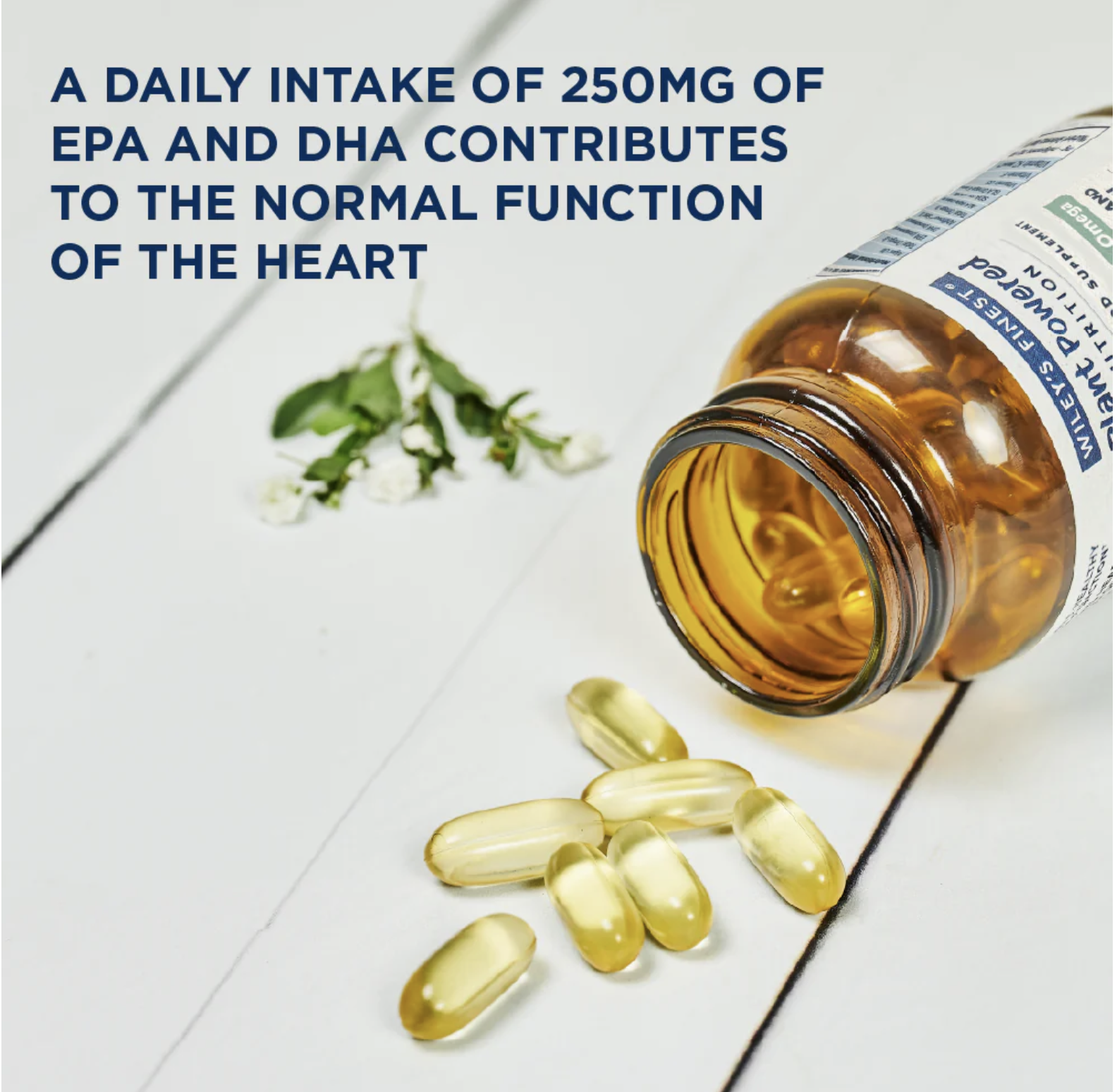 Wiley's Finest - Plant Powered - CatchFree Omega - 500mg DHA - 60Vcaps - Image 2